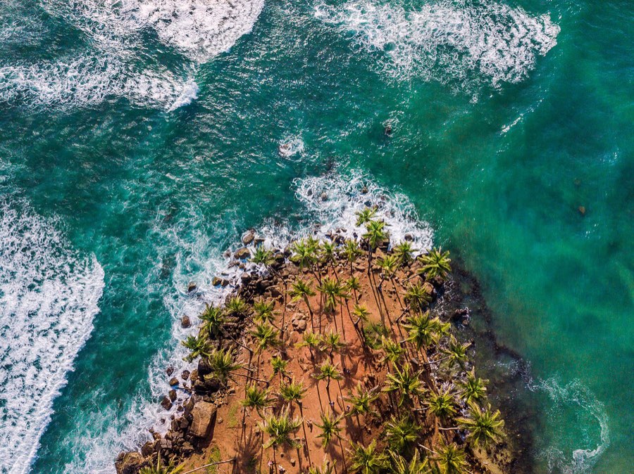 Coconut Tree Hill
